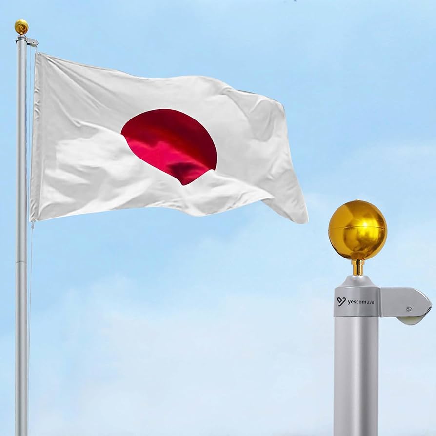 Amazon.co.jp: Yescom 旗ポール 6m アルミ 国旗掲揚ポール 滑車 ロープ