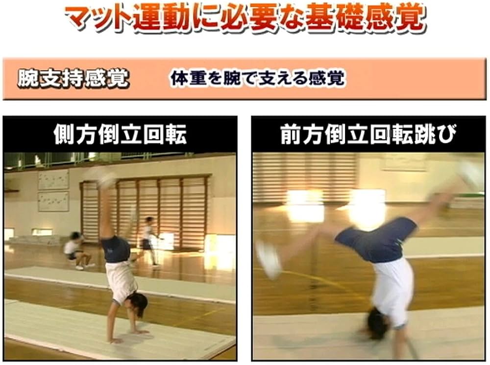 Amazon.co.jp: プロがナビゲート!わかる出来る“楽しい体育”DVD授業