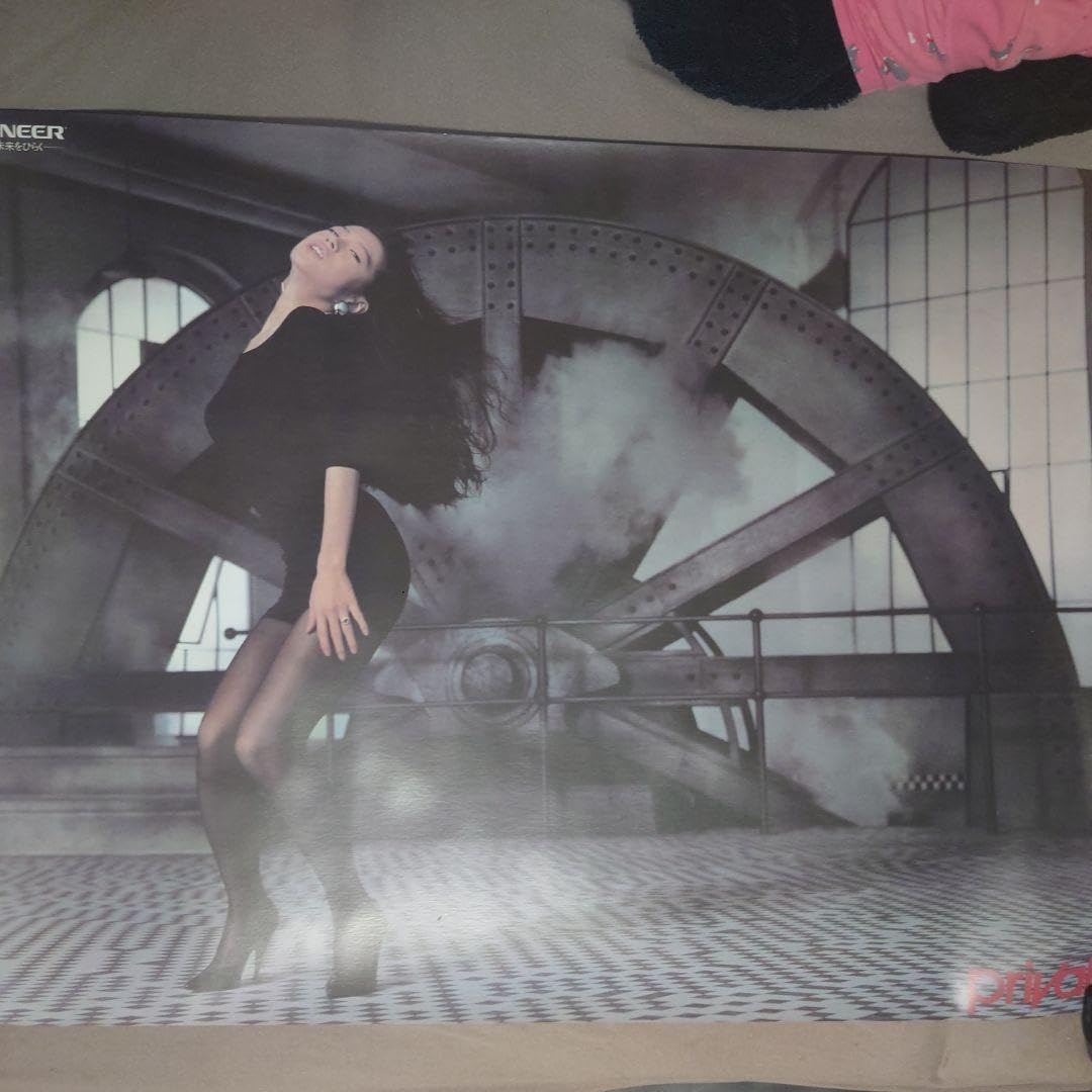 Amazon.co.jp: 中森明菜 ポスター プライベート Private パイオニア