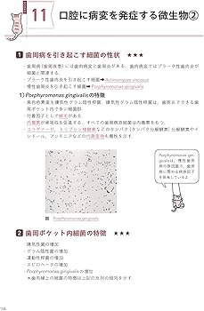 歯科衛生士国家試験直前マスター1 チェックシートでカンペキ! 基礎科目