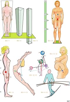 カパンジー機能解剖学 全3巻 原著第7版 | A.I.Kapandji, 塩田 悦仁 |本