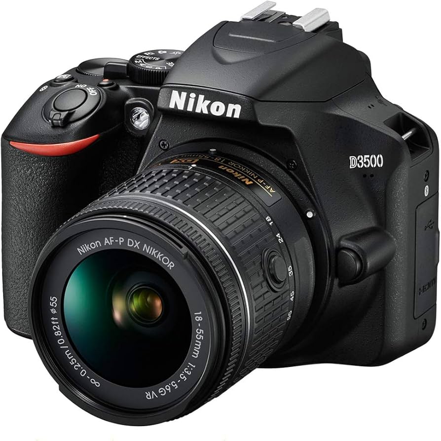 Amazon.com : Nikon D3500 24.2MP DX-Format DSLR Digital Camera with