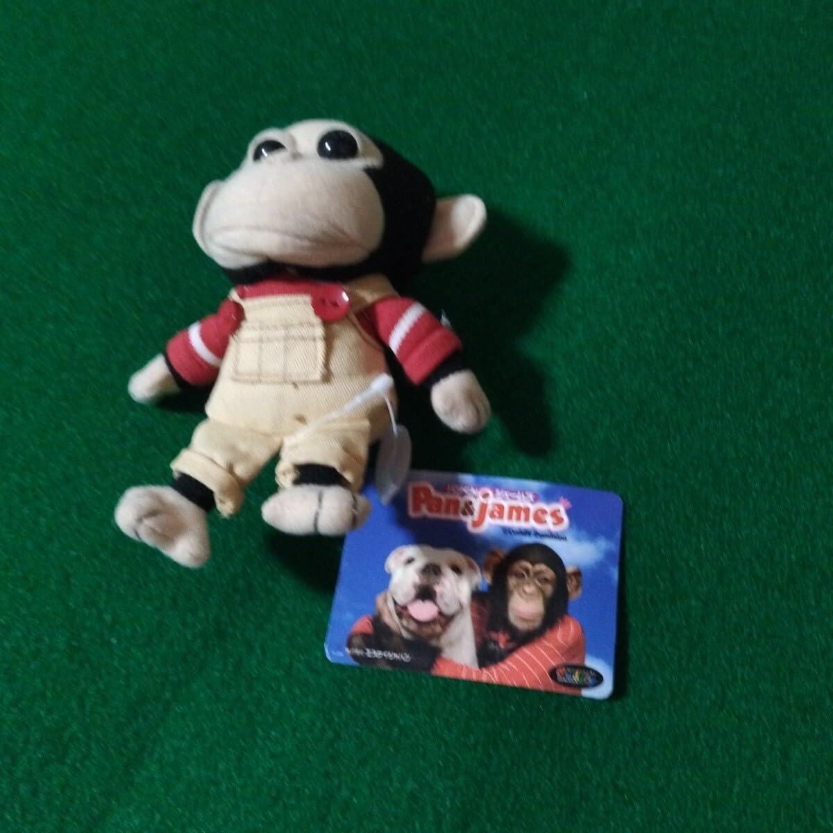 Amazon.co.jp: パンくんぬいぐるみ志村動物園パンくん : おもちゃ