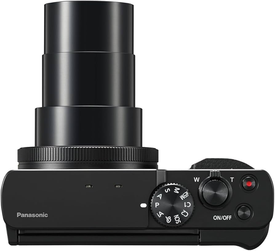 Amazon.com : Panasonic LUMIX TZ/ZS99 Point and Shoot Camera
