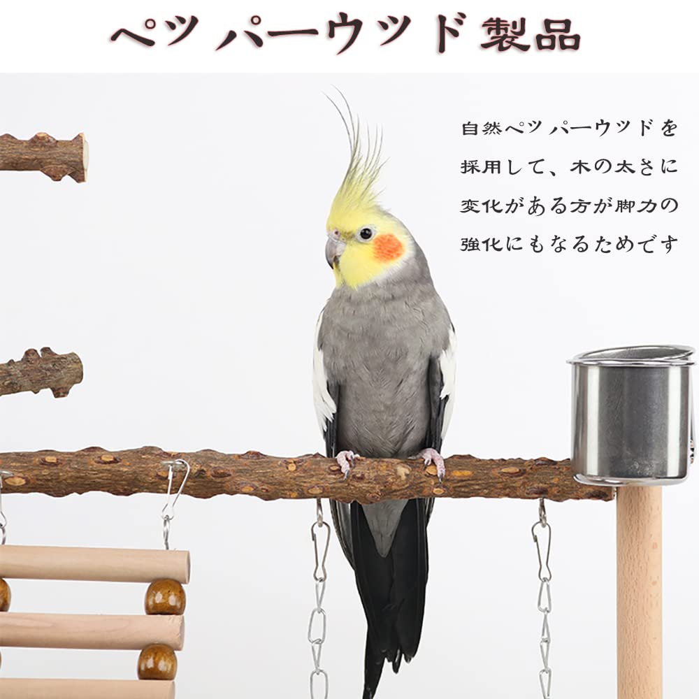 Amazon | 鳥アスレチック バードアスレチック インコ 遊び場 止まり木