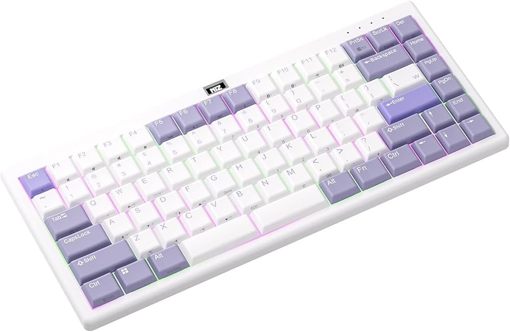 Amazon | NiZ キーボード 【L84紫RGB】 超薄型静電容量無接点方式