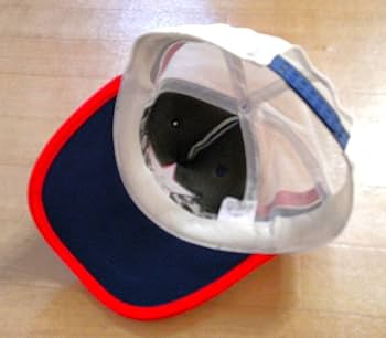 Amazon.co.jp: サザンオールスターズ C⑤ 星ロゴ キャップ 紺×白