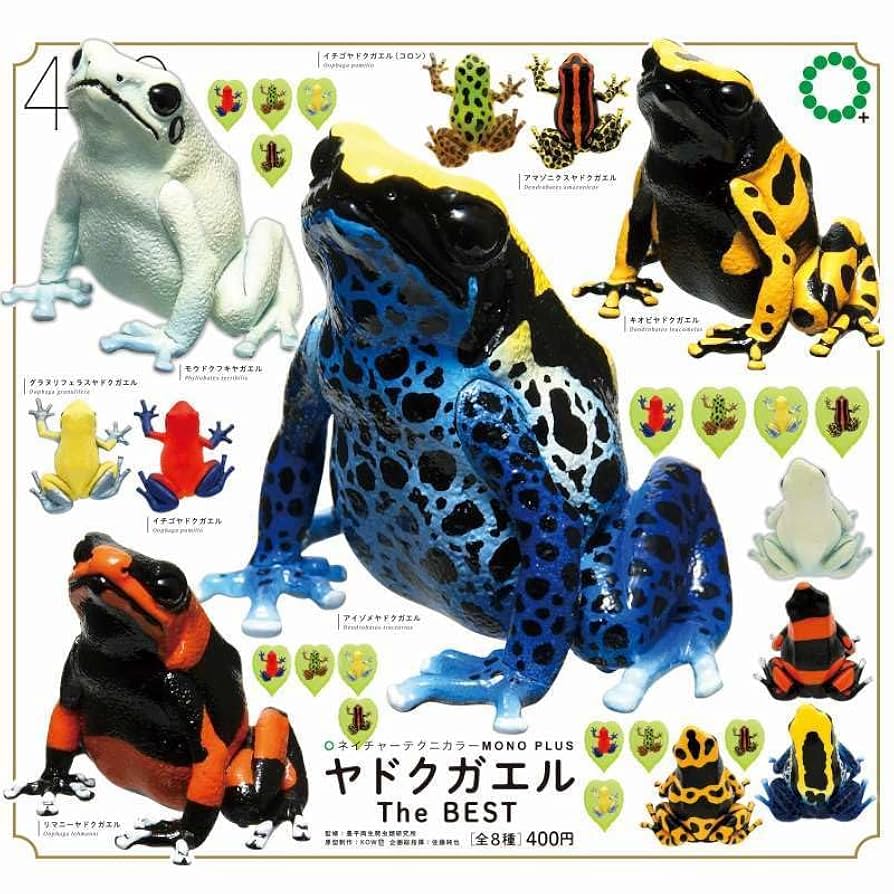 絵違い 超能力蛙 英4枚 絵違い 超能力蛙 日4枚 超能力蛙 / Psychic