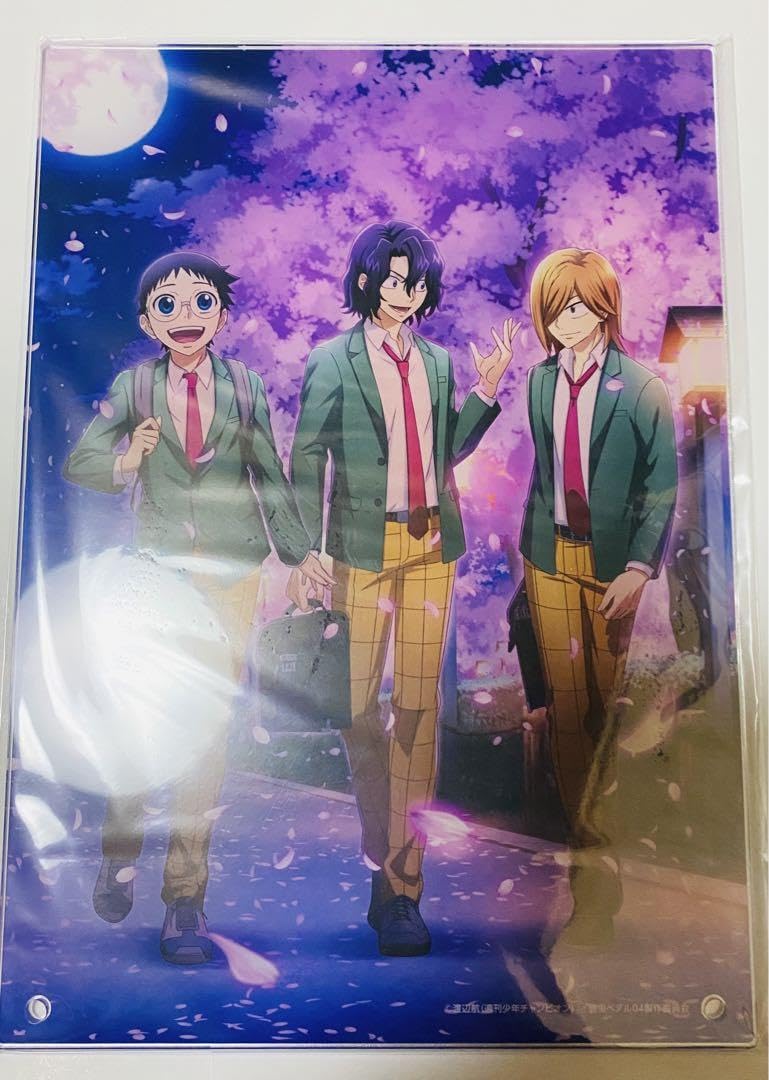 小野田坂道 手嶋純太 青八木一 アクリルパネル 弱虫ペダル 夜桜 Amazon