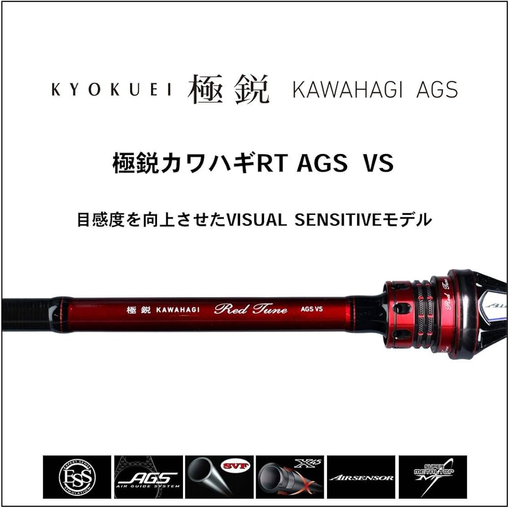 Amazon | ダイワ(DAIWA) 船竿 極鋭カワハギRT AGS VS 釣り竿 | ダイワ