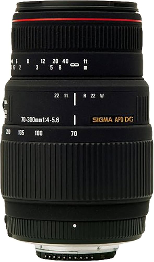 Amazon.com : Sigma 70-300mm f/4-5.6 DG APO Macro Telephoto Zoom