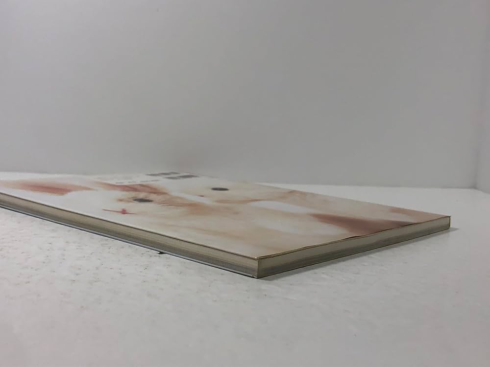 テディベアのいる場所: こいぬも、りすも、うさぎもいっしょに | 利倉