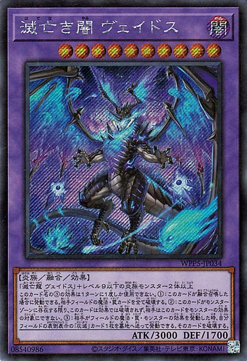 Amazon.co.jp: 遊戯王カード 滅亡き闇 ヴェイドス(シークレットレア