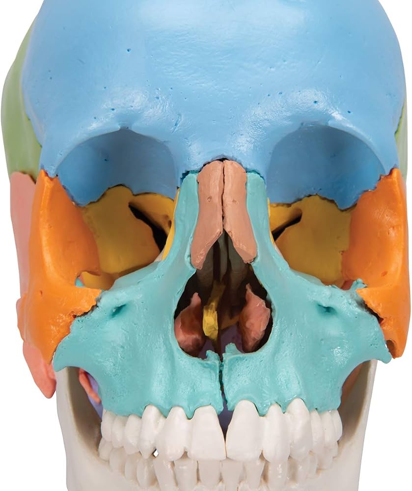 61evypgCY3L._AC_UF1000,