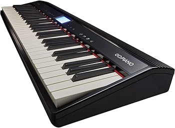 Amazon.com: Roland GO:PIANO 61-Key Portable Digital Piano Keyboard