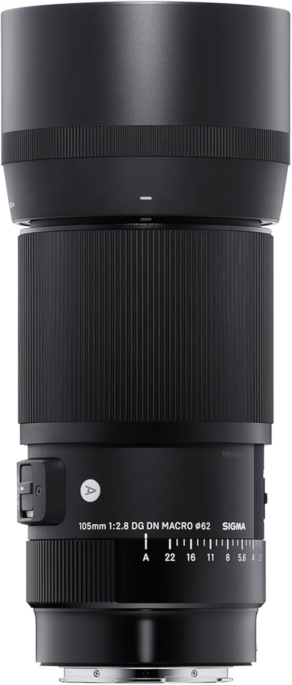 Amazon.com : Sigma 105mm F2.8 DG DN Macro Art (Sony E-mount