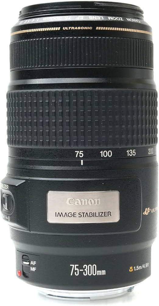 Canon EF 75-300mm f/4-5.6 is USM Telephoto Zoom Lens for Canon SLR