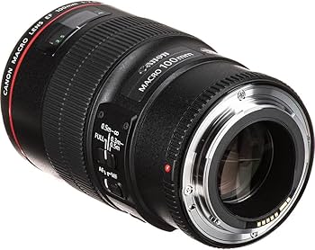 Amazon.com : Canon EF 100mm f/2.8L Macro is USM Lens (3554B002