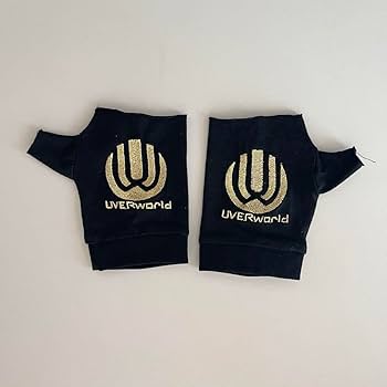 61goSr3VIQL._AC_UF350,