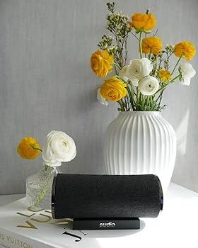 Amazon.co.jp: SUDIO FEMTIO Black スーディオ フェムティオ ブラック