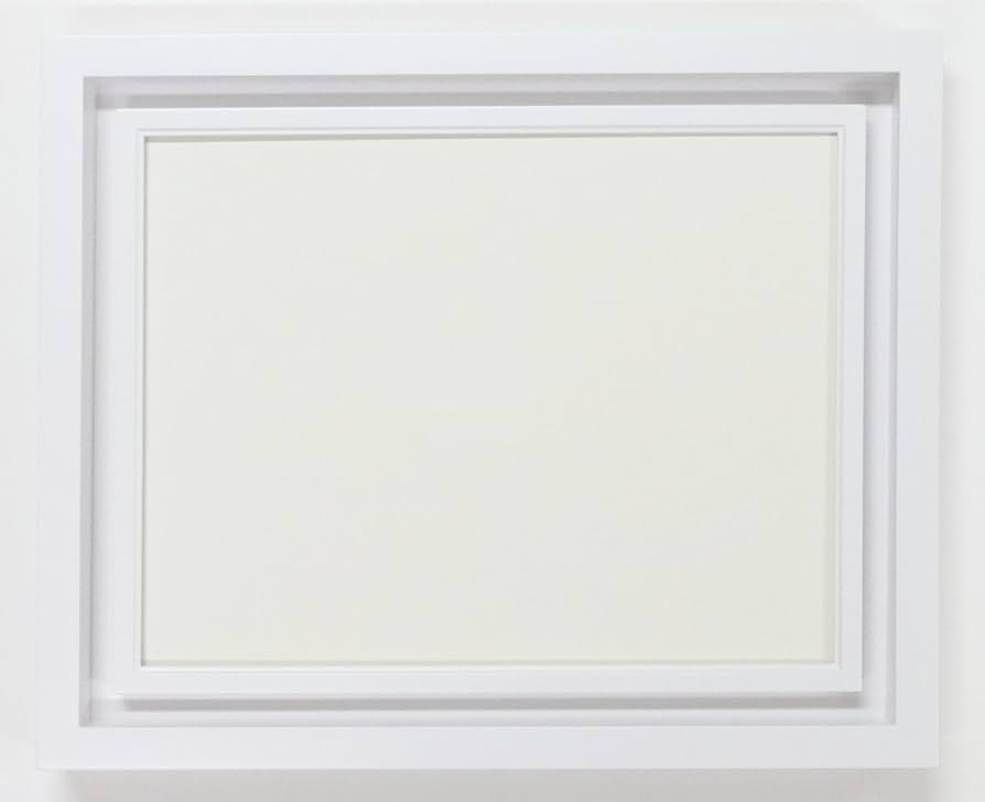 Amazon.co.jp: 同志舎 油彩用額縁 デュエット アクリル仕様 (オフ