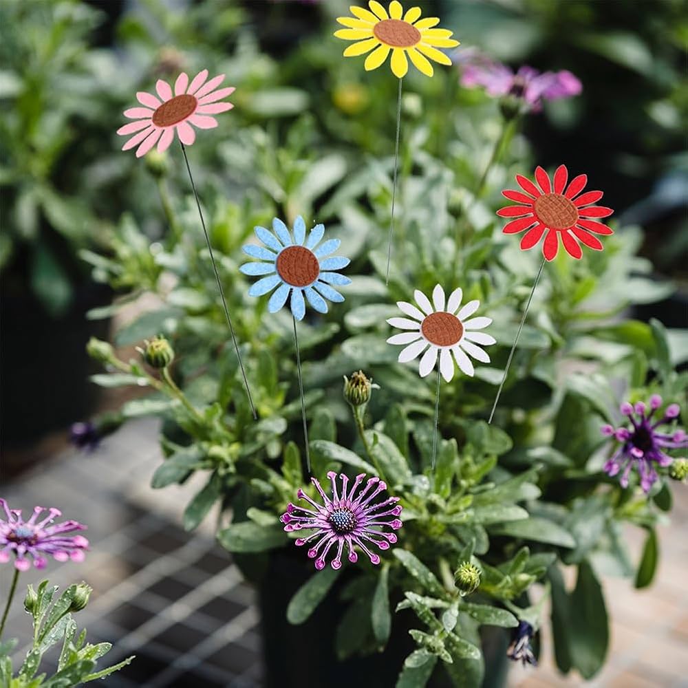 ひまわりページ Amazon.co.jp: ひまわり(SG): ミュージック