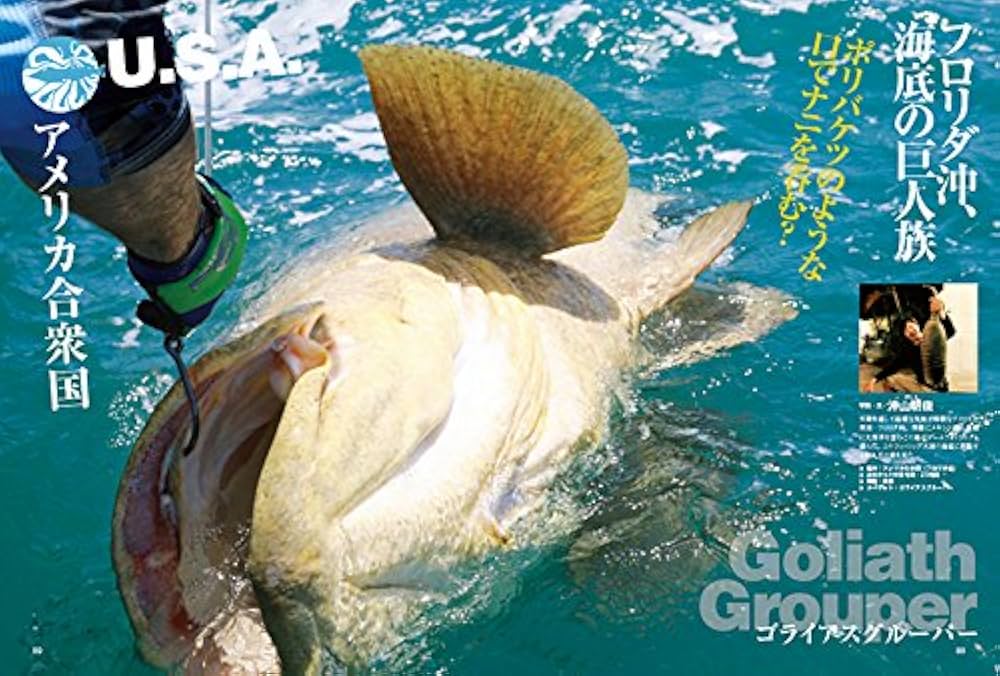 海の怪魚釣りマガジン (CHIKYU-MARU MOOK Rod and Reel別冊) |本