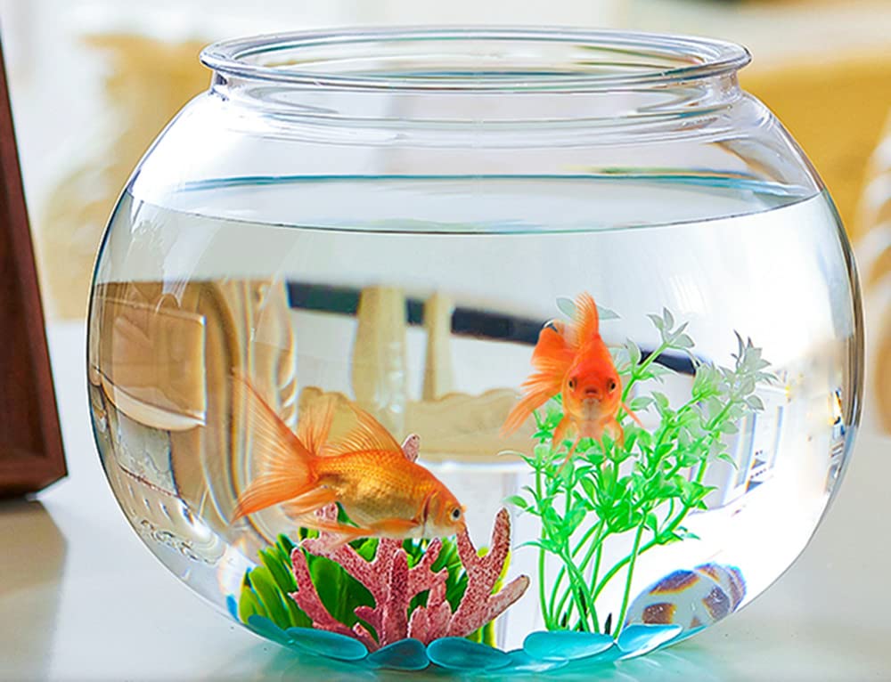 Amazon | 金魚鉢 丸型金魚鉢 高プラスチック透明アクリル 観葉植物