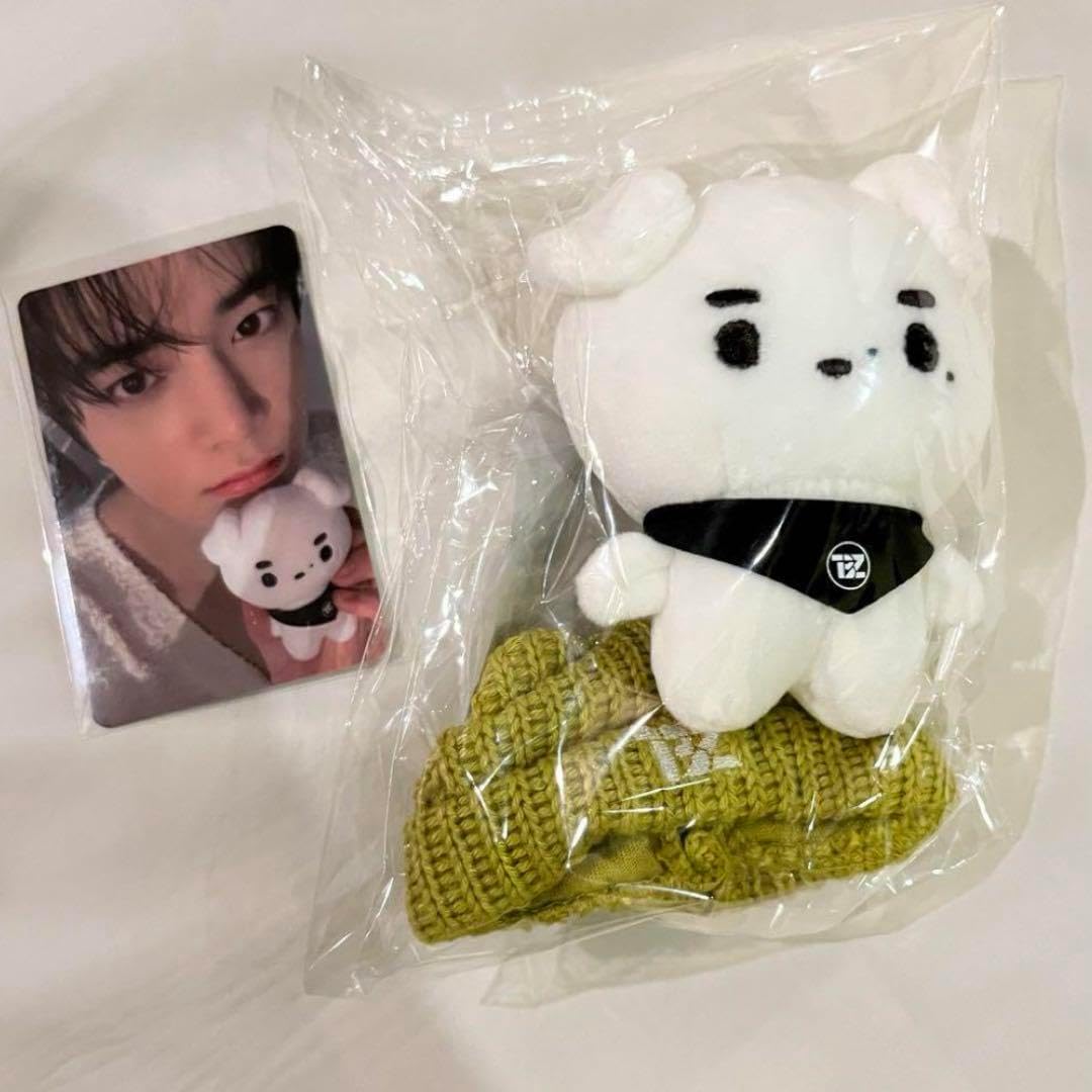 THEBOYZ ソウルコン ミニドール ぬいぐるみ キュー トレカ 人気 ぬい Q