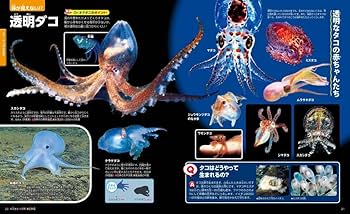 Amazon.com: 水の中の生きもの (講談社の動く図鑑MOVE): 9784062210294