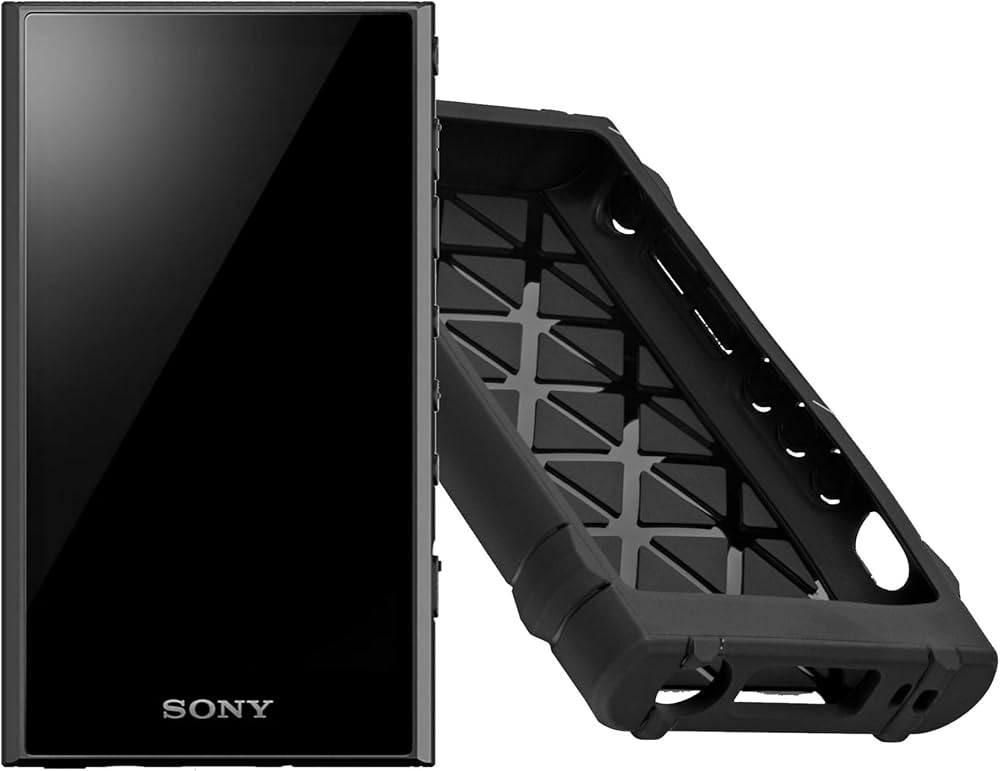 Amazon.com: Sony NW-A306 Walkman A Series High-Resolution Digital