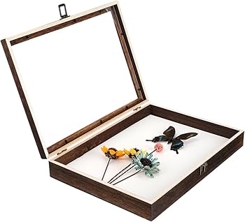 蝶番で開閉可能タイプ 標本箱 2個 ＆ 標本箱収納ケース バラ売り可