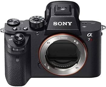 Amazon.com : Sony Alpha a7R II Mirrorless Digital Camera (Body