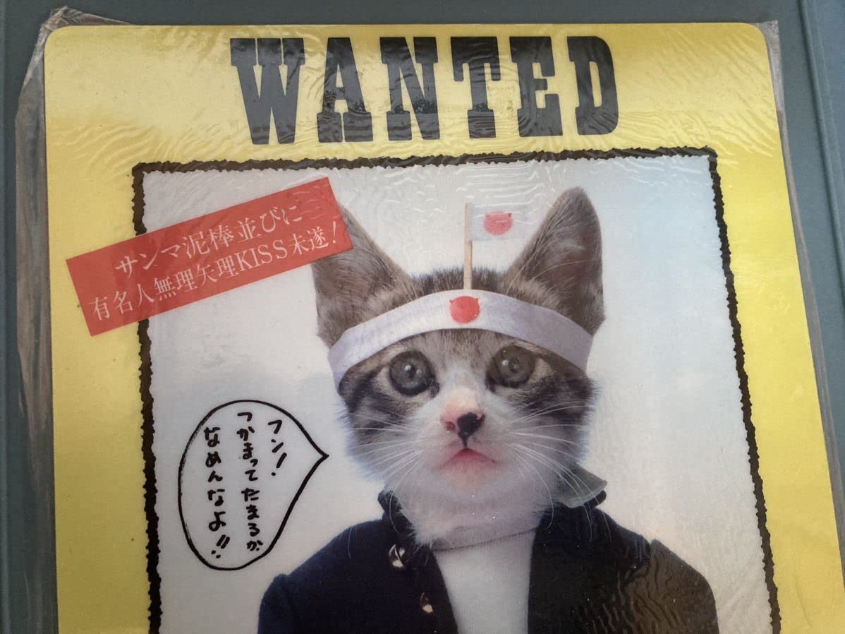 Amazon.co.jp: 昭和56年当時物元祖なめ猫なめんなよ佐藤又吉履歴書