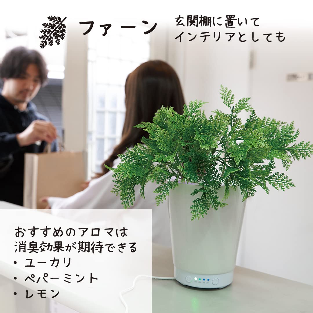 Amazon｜LITHON ライソン グリーンアロマミスト ファーン GREEN AROMA