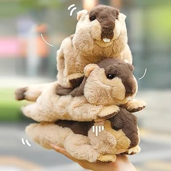 61ksndGwNAL._AC_UF350,