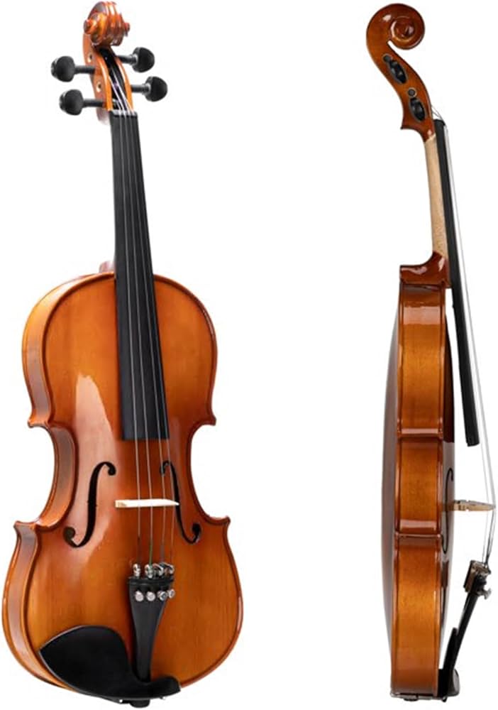 Amazon.co.jp: 4/4 オリジナルバイオリンセット 初心者用バイオリン