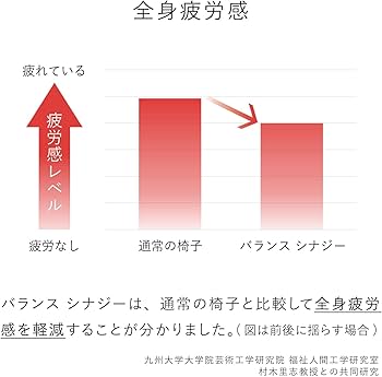 Amazon｜バランスラボ バランスシナジー ラウンド シックグレー
