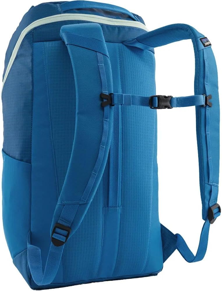 Amazon.co.jp: [Patagonia] (パタゴニア) ブラックホール パック 25L