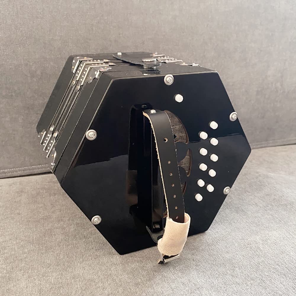 Amazon | 20ボタンコンサーティーナアコーディオン、ポータブル