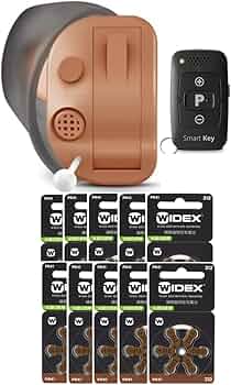 Amazon.co.jp: オンキョー 耳あな型デジタル補聴器 OHS-D31 お得な空気