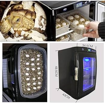 Amazon | 爬虫類インキュベーター ポータブル AC110V/DC12V トレ 5～60