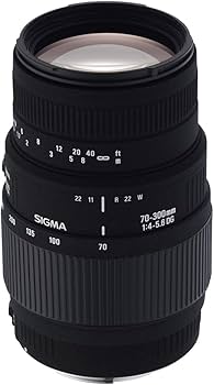 Amazon.co.jp: SIGMA 望遠ズームレンズ APO 70-300mm F4-5.6 DG MACRO
