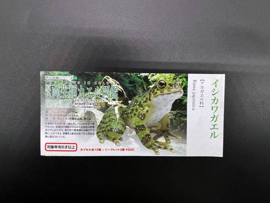 Amazon.co.jp: ユージン原色両生類 カエル図鑑（新改訂版） イシカワ