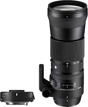 Amazon.co.jp: シグマ(Sigma) レンズ 150-600mm F5-6.3 DG OS HSM