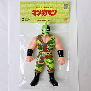 61oe989fldL._AC_UF350,