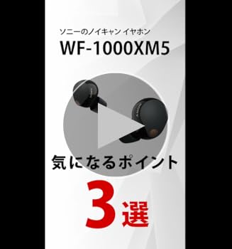 Amazon.co.jp: ソニー(SONY)ワイヤレスノイズキャンセリングイヤホン