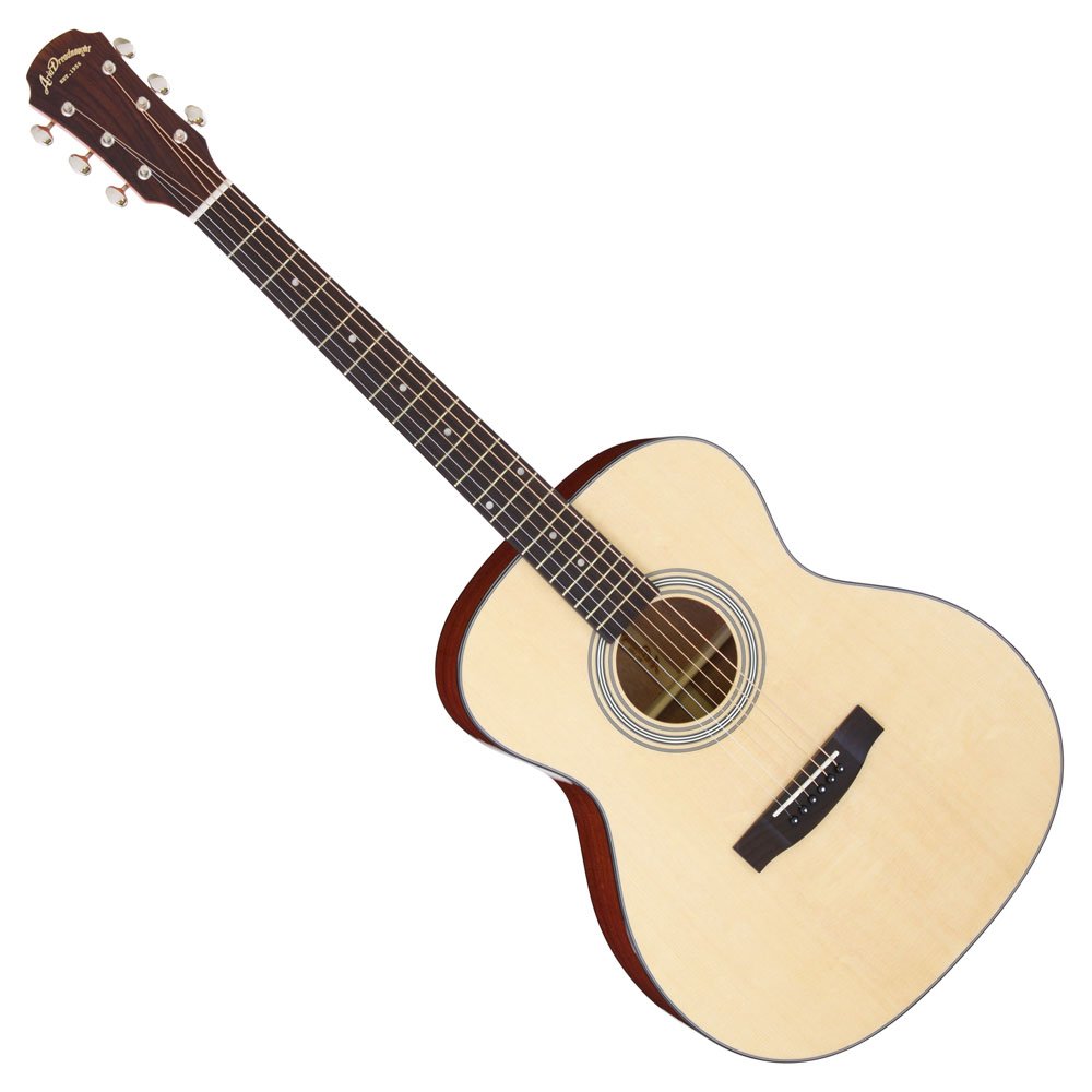 Aria Dreadnought アコースティックギター セットAF-25N Aria