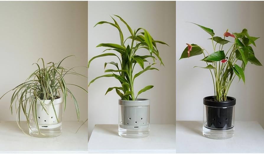 Amazon.co.jp: 根っこさん+つつ型 (ホワイト, Mサイズ) : DIY・工具