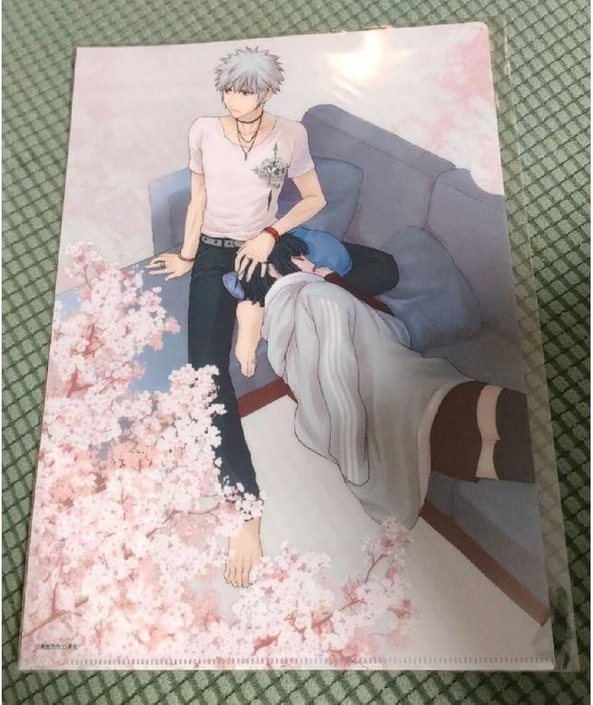 Amazon.co.jp: フルーツバスケット クリアファイル 草摩潑春 草摩依鈴